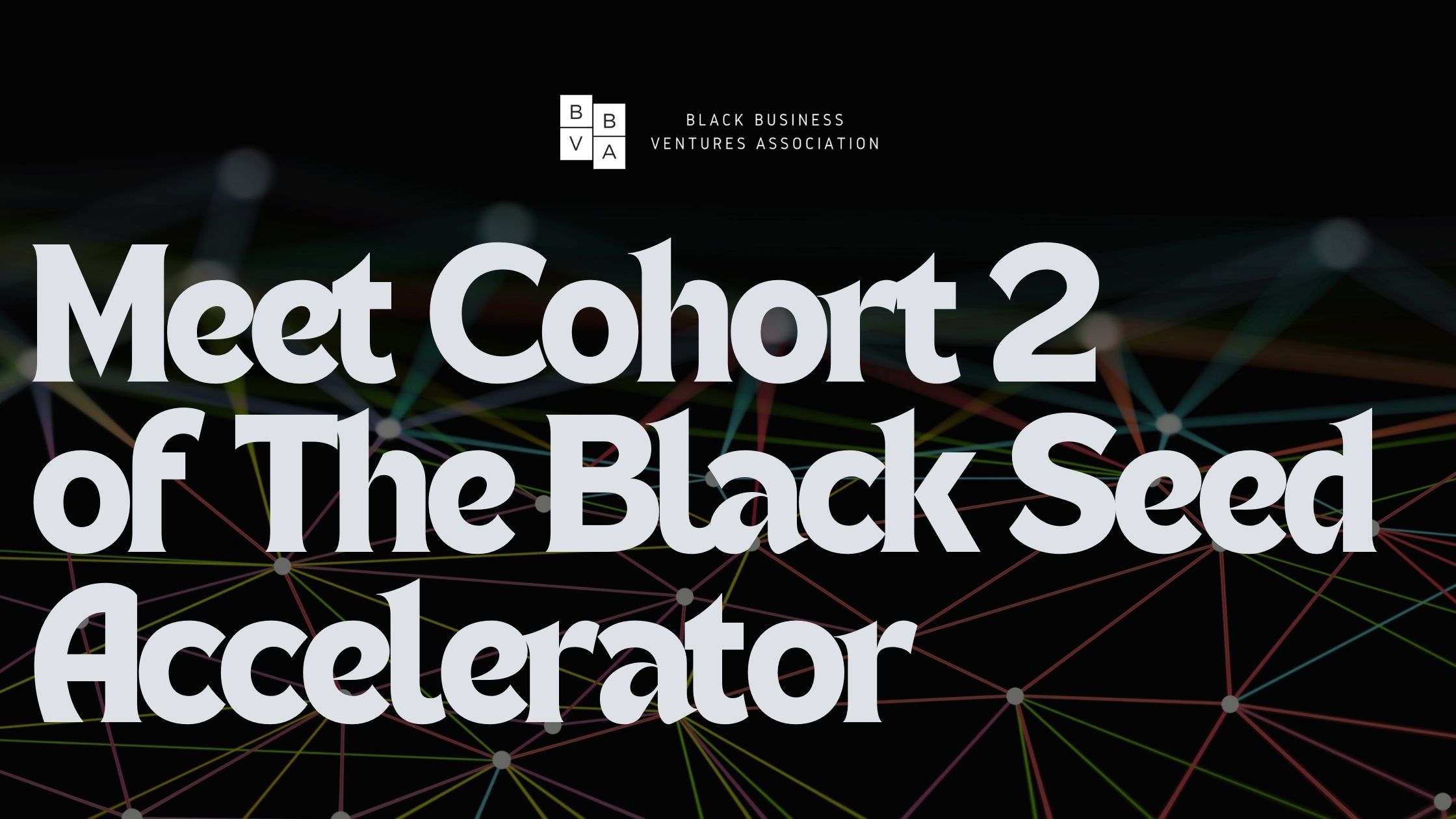 meet the cohorts 2 of the accelerator program